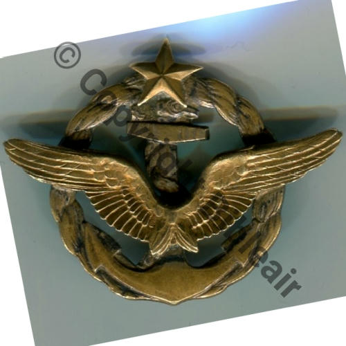 BREVET PILOTE HYDRAVION No2687 1917   SM 2Anneaux Dos lisse juste avantWW2 devient CERTIFICAT D.AVIATION en 1926 39x55mm Src.L.DANJOU 276Eur 